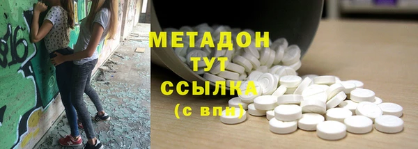 прущие грибы Алзамай