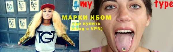 прущие грибы Алзамай