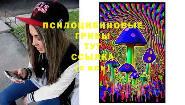 соль ск Алексеевка