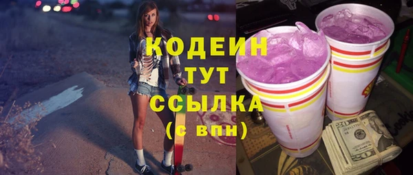 прущие грибы Алзамай