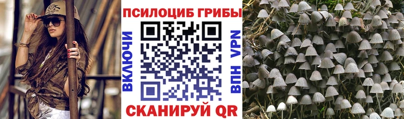 Псилоцибиновые грибы Psilocybe  Медынь 